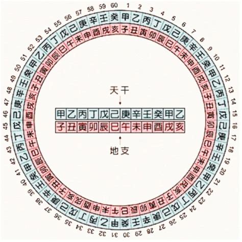 1989 天干地支|天干地支纪年法对照表